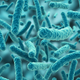Image for article titled Want Clearer Skin? Start Embracing Bacteria.